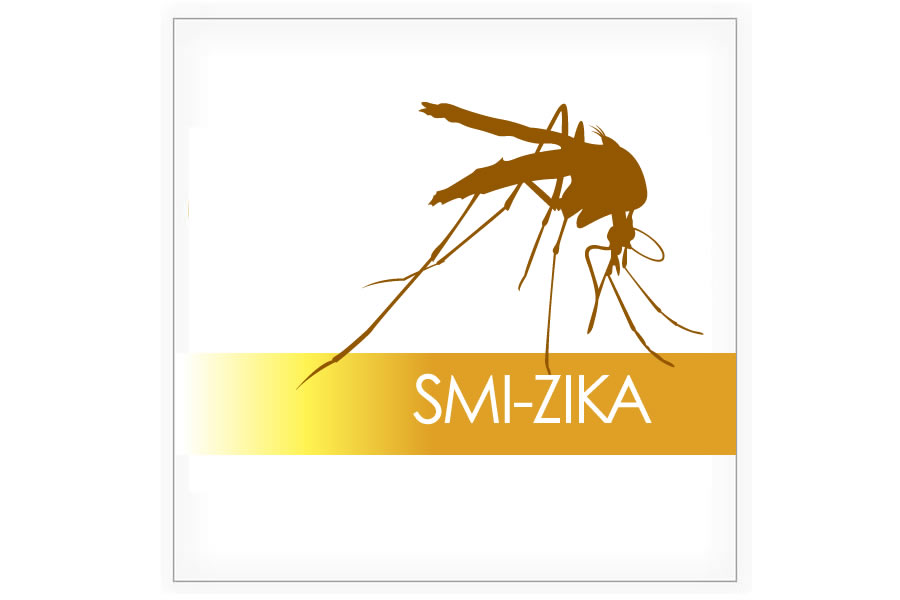 La comunidad de práctica Zika apoya a profesionales y unidades de salud a detectar, atender y prevenir la epidemia del Zika, a través del intercambio de conocimientos, recursos y experiencias sobre este tema.